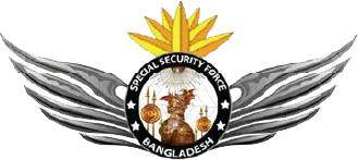 Special Security Force logo